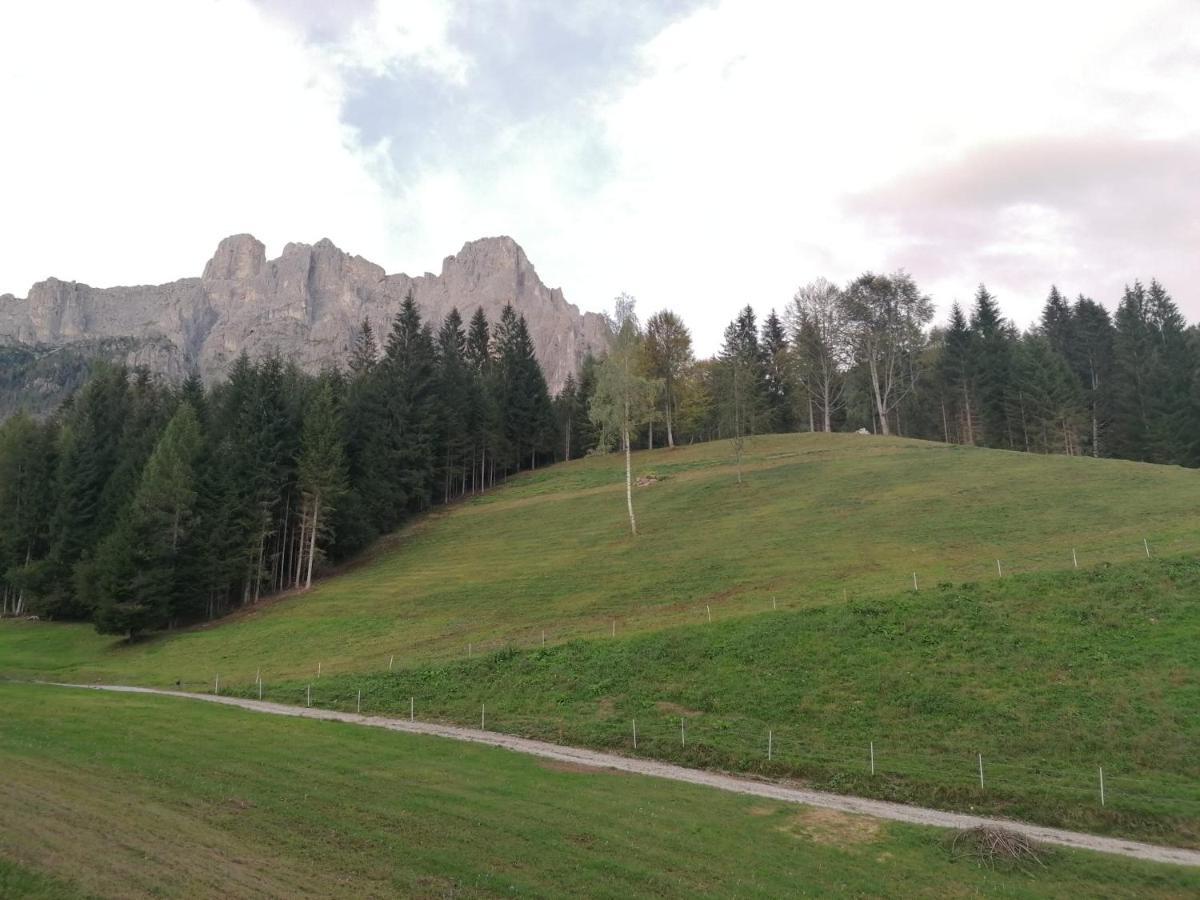 Baita Pra Petina Pale Di San Martino Siror Eksteriør bilde
