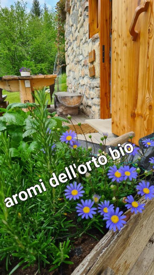Baita Pra Petina Pale Di San Martino Siror Eksteriør bilde